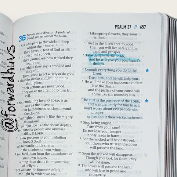 Boys Life Application Study Bible – NLT – Light Highlighting - Picture 8 of 11